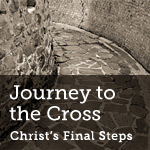 Journey to the Cross