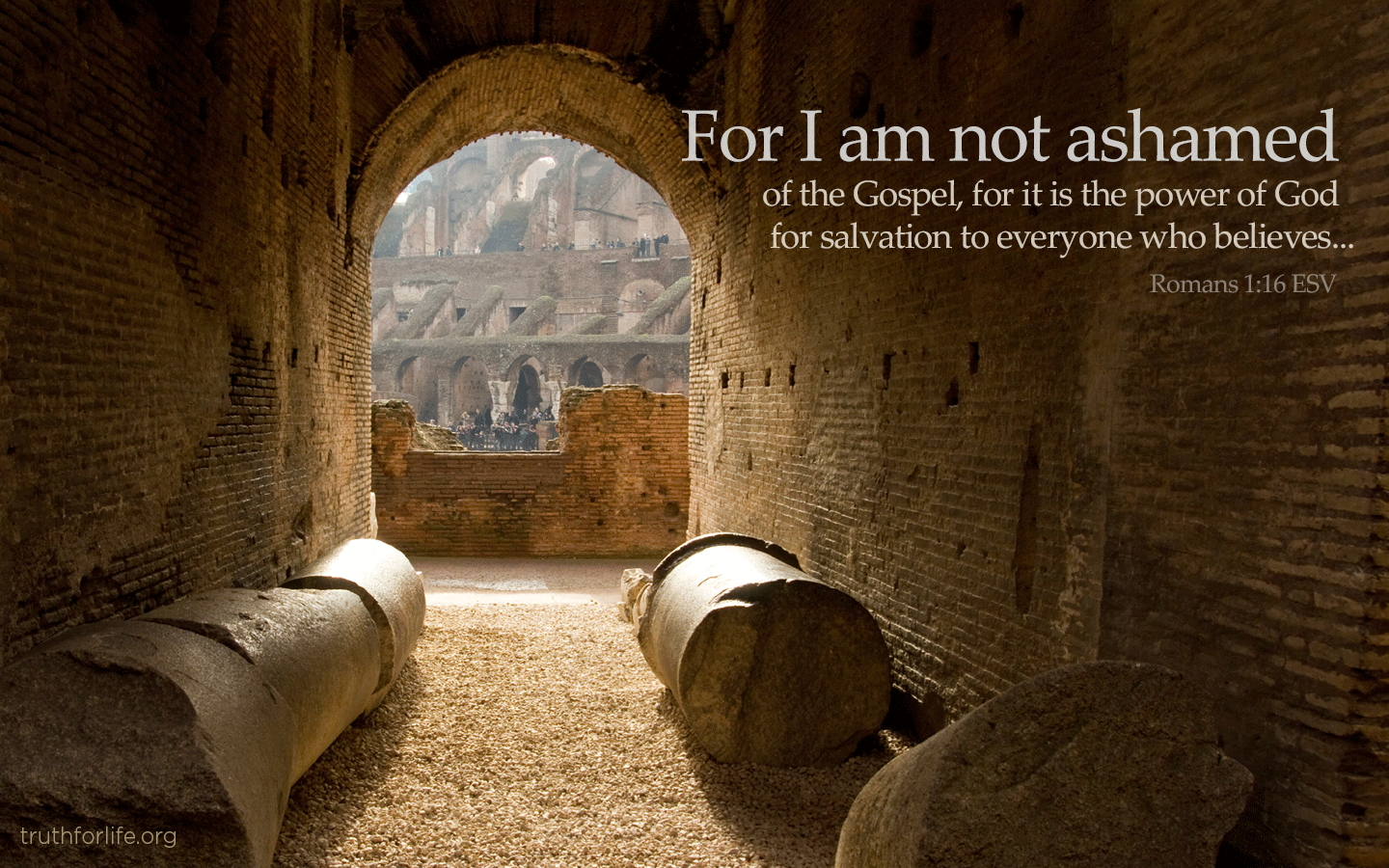 View source image Image result for ashamed