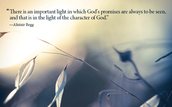 An important light
