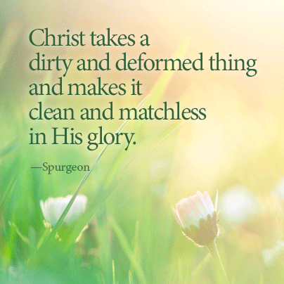 Clean and matchless