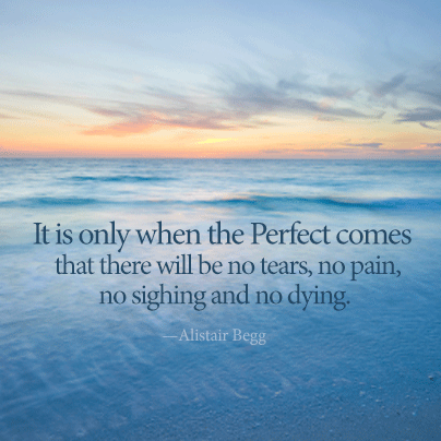 No more tears, no pain
