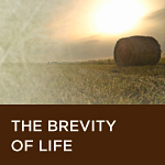 The Brevity of Life