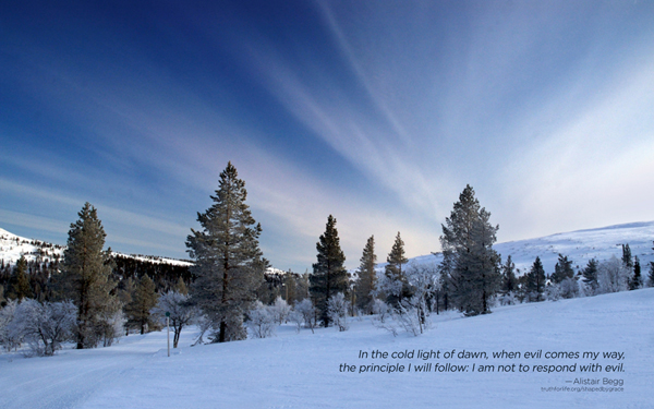 In the cold light of dawn, when evil comes my way, the principle I will follow: I am not to respond with evil. -Alistair Begg