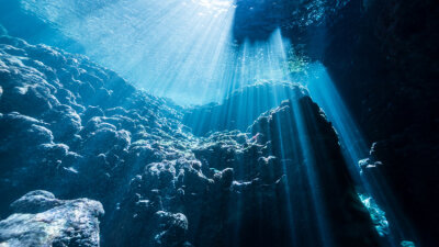 When? What? Why? (Part 3 of 3)