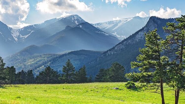 The Divine Method of Love