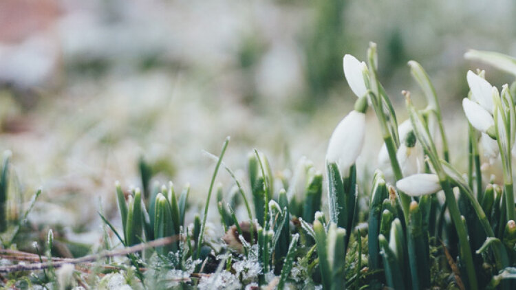 Return to Your First Love