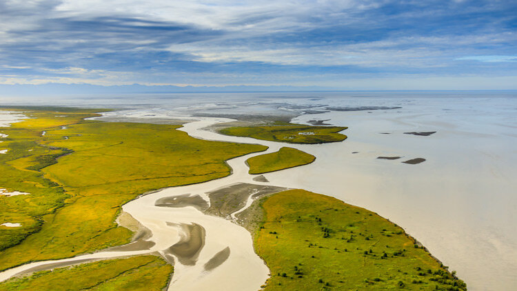 The Purpose of Living