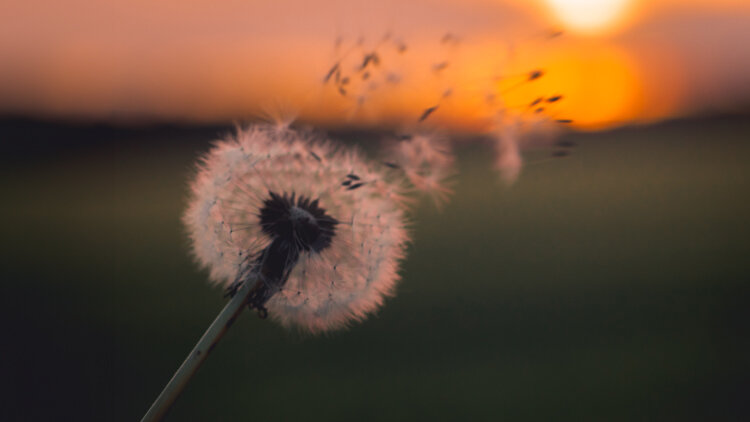 Speak of Jesus’ Wonderful Love