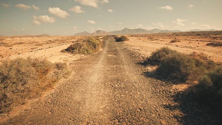 The Way for the New Year