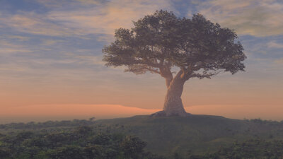 God Reigns (Part 2 of 2)