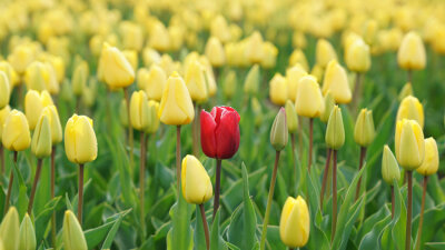 “I Am Praying for Them” (Part 1 of 2)