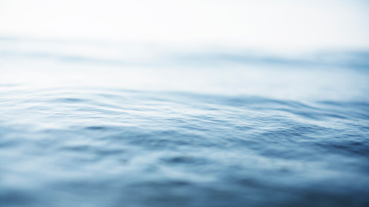 What's Your Portion? 