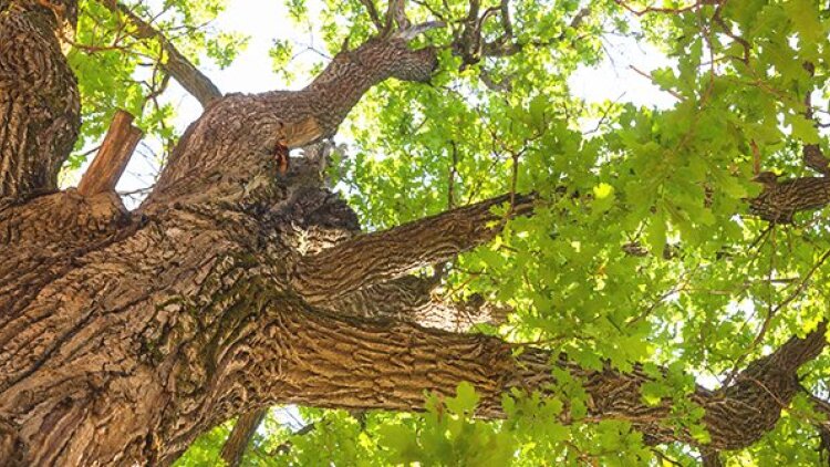 A Fullness in Christ