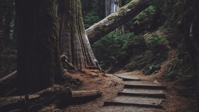 If God Be for Us… (Part 1 of 2)