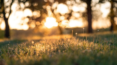 Holy Day or Holiday? (Part 4 of 4)