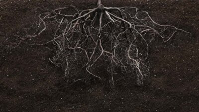 Earthing a Vision (Part 1 of 2)