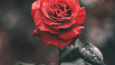 False Faith (Part 2 of 2)