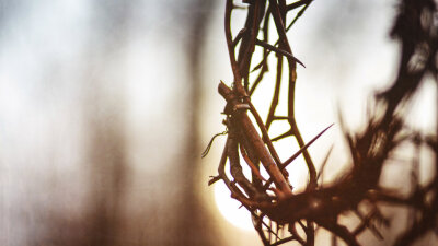 Suffering Servant (Part 2 of 2)