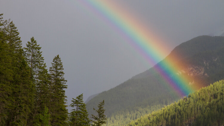 Reflections on a Rainbow