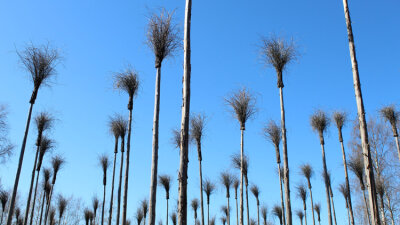 “Let All the Earth Be Silent” (Part 2 of 2)