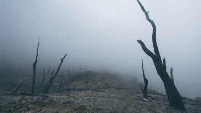 Jesus Condemned to Death (Part 1 of 2)