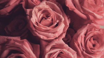 Planting Hedges in Marriage (Part 3 of 4)