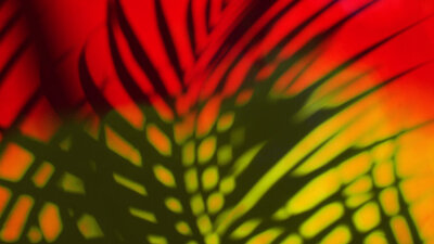 The Coming Kingdom (Part 2 of 2)