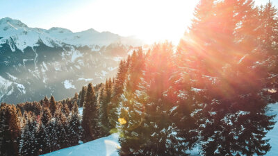 Tidings of Comfort and Joy