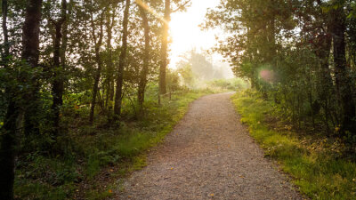 Truth and Love (Part 1 of 2)