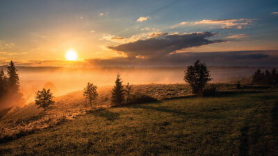 A Word to the Wise (Part 1 of 2)