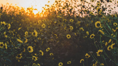 “His Name Is John” (Part 1 of 4)