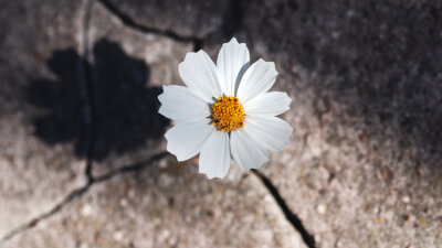 “Look and Be Amazed!”