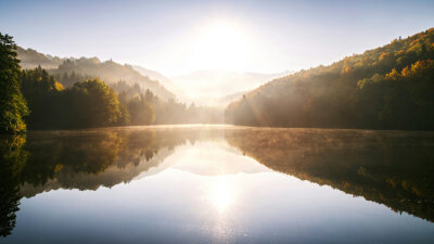 Peace in a Hostile World