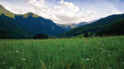 An Exposition of Psalm 19 (Part 1 of 4)