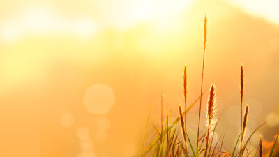 Can This Be Naomi? (Part 1 of 2)