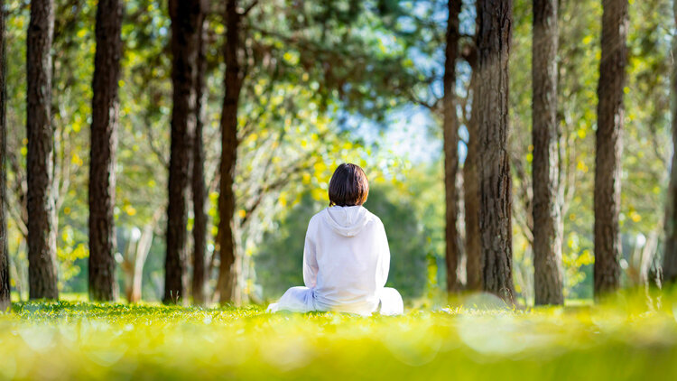 Healing of a Divine Physician