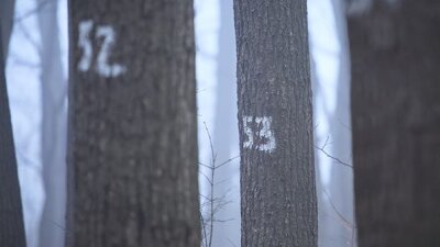 Hold Lightly to Earthly Things