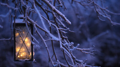 Take Comfort in God’s Light