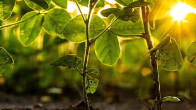 Continuous Evangelism (Part 1 of 2)