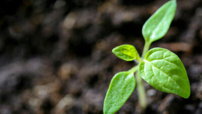 “Sanctify Them” (Part 2 of 2)