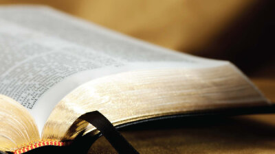 Favoritism (Part 3 of 6)