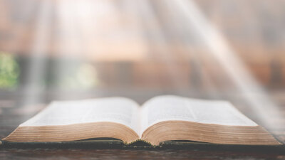 Let the Lion Out (Part 1 of 2)