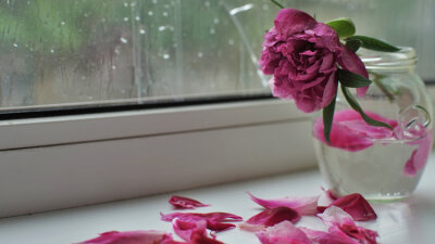 Jesus: Despised and Rejected (Part 1 of 2)