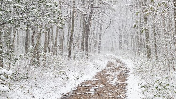 How to Obtain Blessings