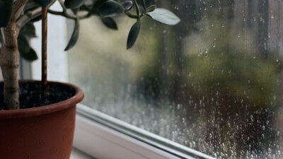 Ill-Gotten Gain (Part 2 of 4)