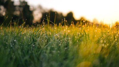 Introducing Ephesians (Part 2 of 2)