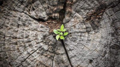 Some Thoughts on Providence