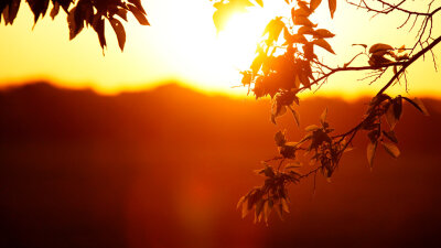 The Resurrection (Part 3 of 4)