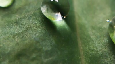 Do We Recognize Him? 