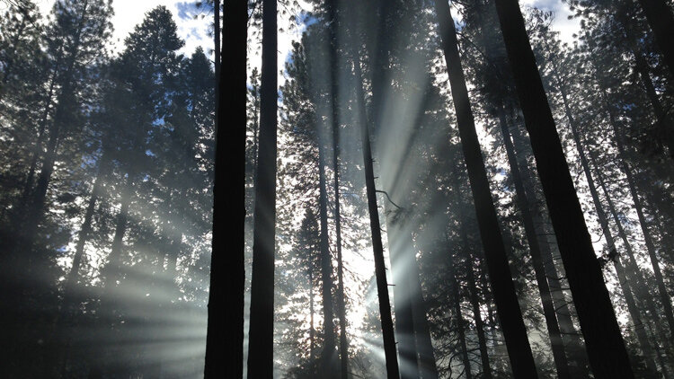 The Beauty of Christ